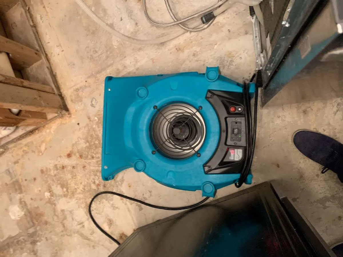Air mover drying equipment for Mold Remediation & Removal in Cottonwood Heights